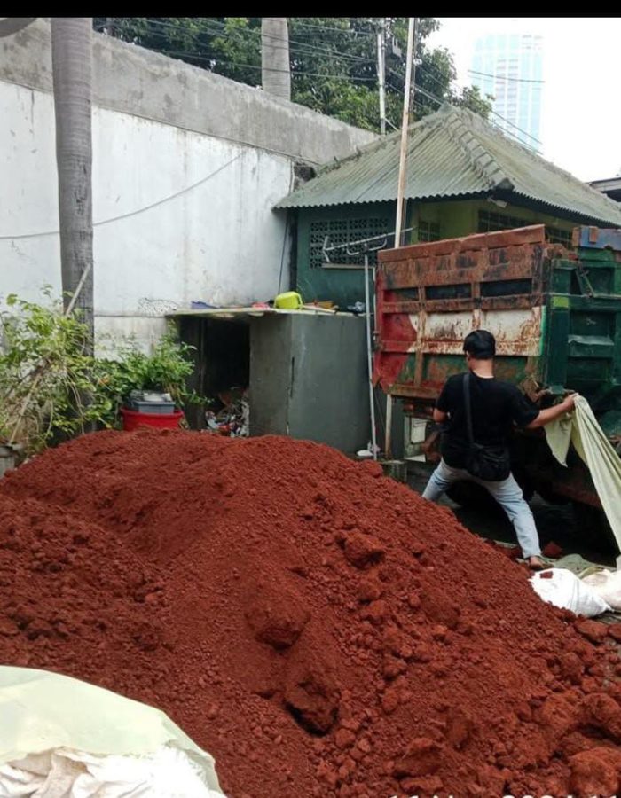 WhatsApp Image 2025-03-22 at 05.56.32